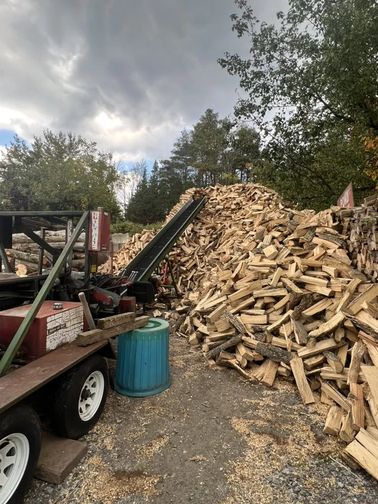 Reliable residential landscaping for outdoor upgrades in City of Orange, NJ by MGM Services Group