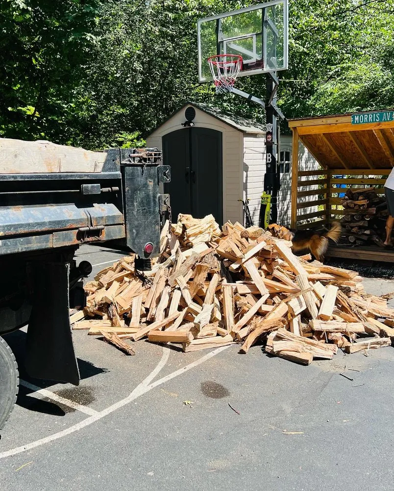 Top-rated lawn care service in City of Orange, NJ by MGM Services Group