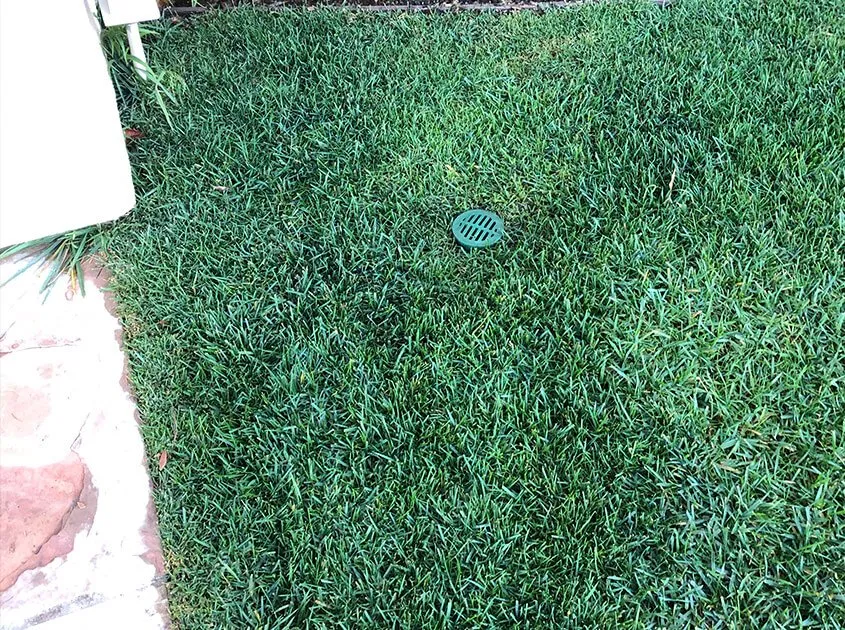 Reliable landscape design for year-round maintenance across Pomona, CA - MGN Landscaping & Sprinkler Repair