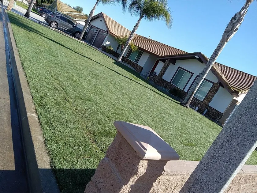 Trusted landscape installation in Pomona, CA - MGN Landscaping & Sprinkler Repair
