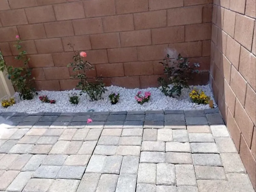 Expert lawn care service for homes in Pomona, CA by MGN Landscaping & Sprinkler Repair