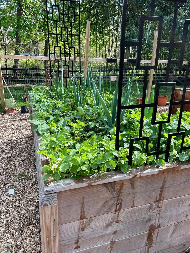 Expert outdoor landscaping for year-round maintenance in Buchanan, NY by MGO Contractor