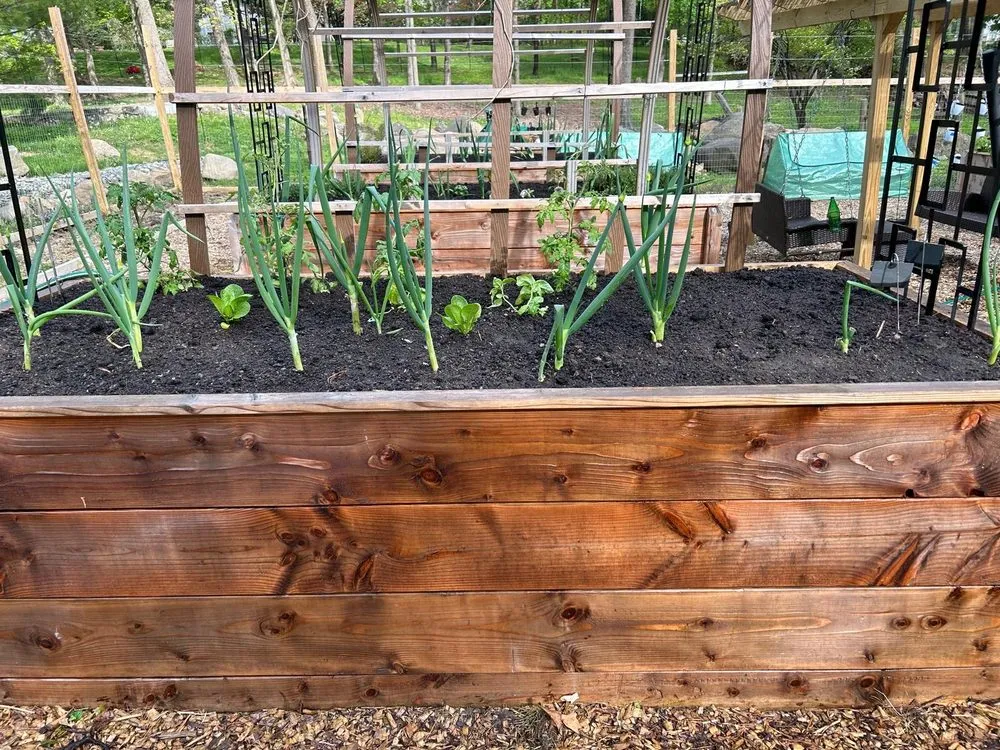 Affordable yard cleanup service for residential properties in Buchanan, NY by MGO Contractor