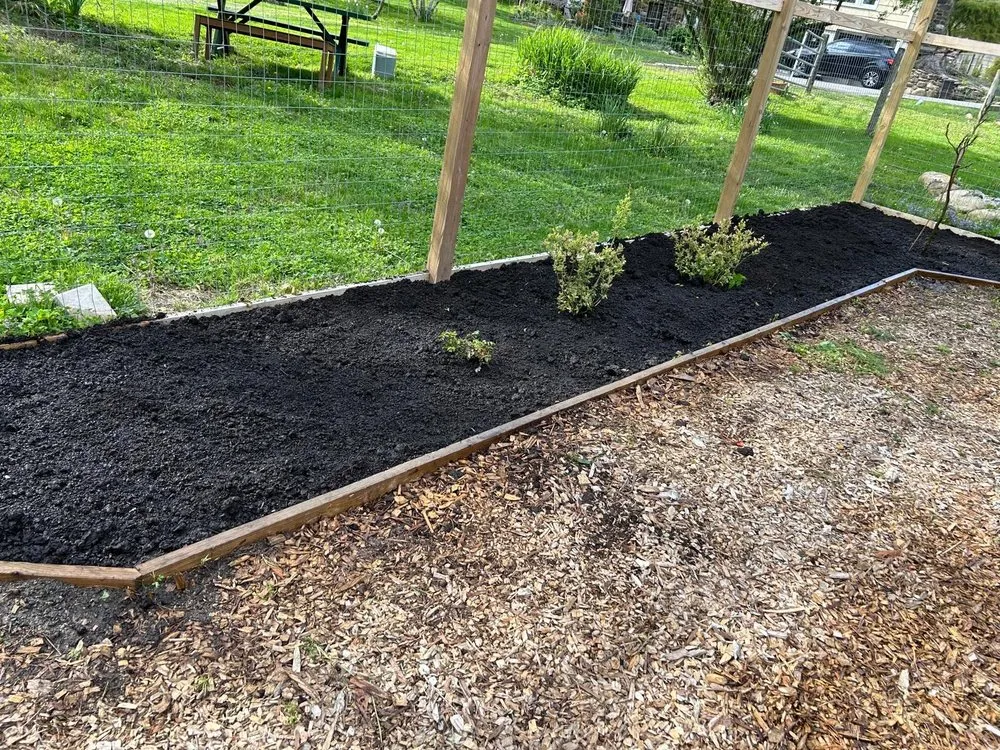 Expert yard cleanup service in Buchanan, NY by MGO Contractor