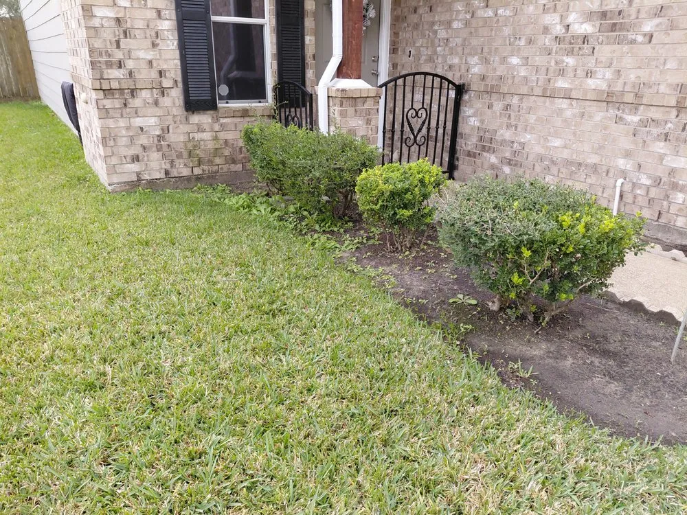 Professional outdoor landscaping near you in Katy, TX by MGO Solutions & Lawn Care
