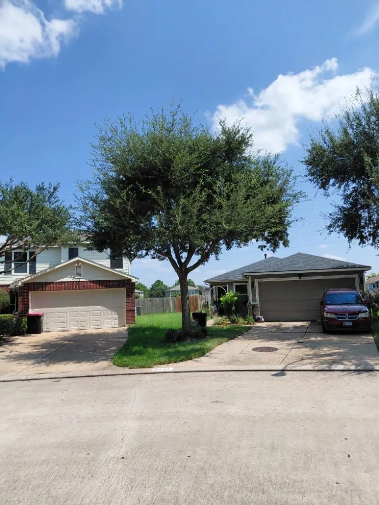 Expert residential landscaping in Katy, TX by MGO Solutions & Lawn Care