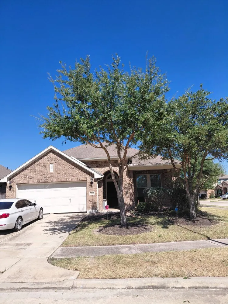 Top-rated yard cleanup service for residential properties across Katy, TX - MGO Solutions & Lawn Care