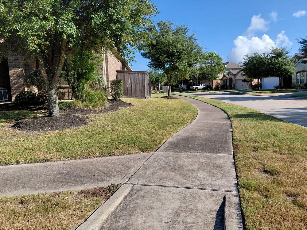 Reliable yard cleanup service near you across Katy, TX - MGO Solutions & Lawn Care