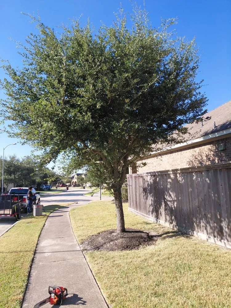 Affordable garden landscaping for residential properties across Katy, TX - MGO Solutions & Lawn Care