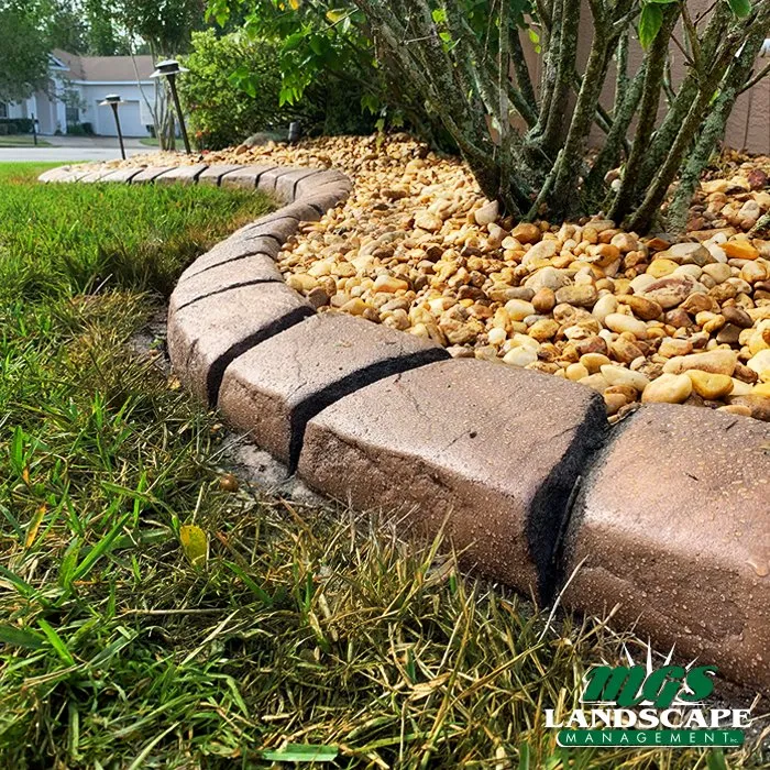 Reliable lawn care service in Coachella, CA by MGS Landscape Management