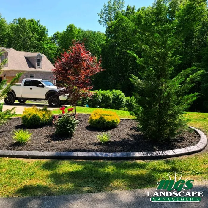 Affordable yard maintenance in Coachella, CA - MGS Landscape Management