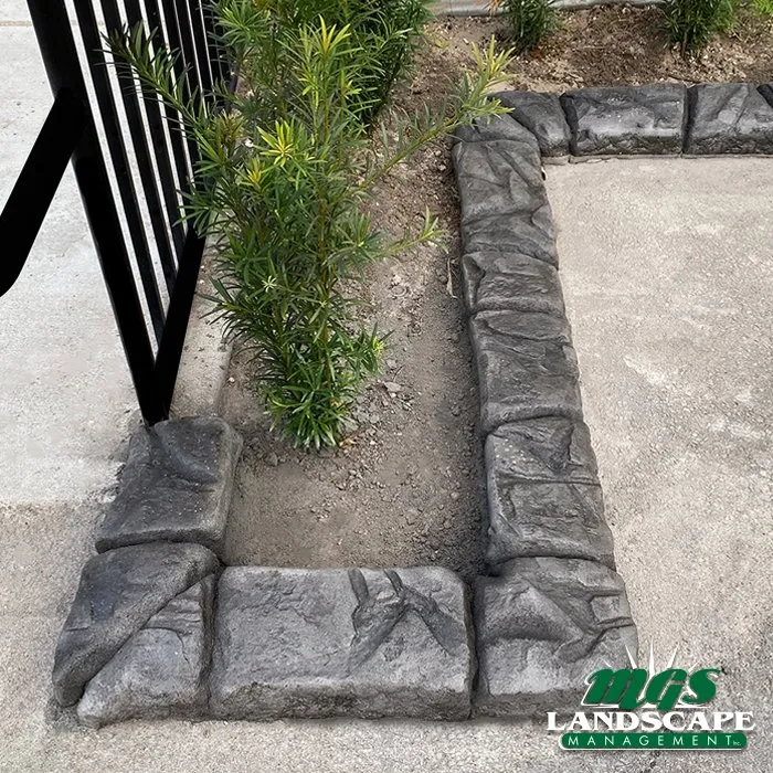 Local landscape design near you in Coachella, CA by MGS Landscape Management