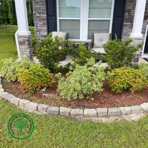 Professional yard maintenance for homes across Charleston, SC - MG's Landscaping & Lawn Care Services