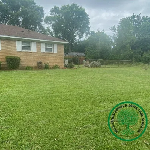 Expert yard cleanup service for year-round maintenance in Charleston, SC by MG's Landscaping & Lawn Care Services