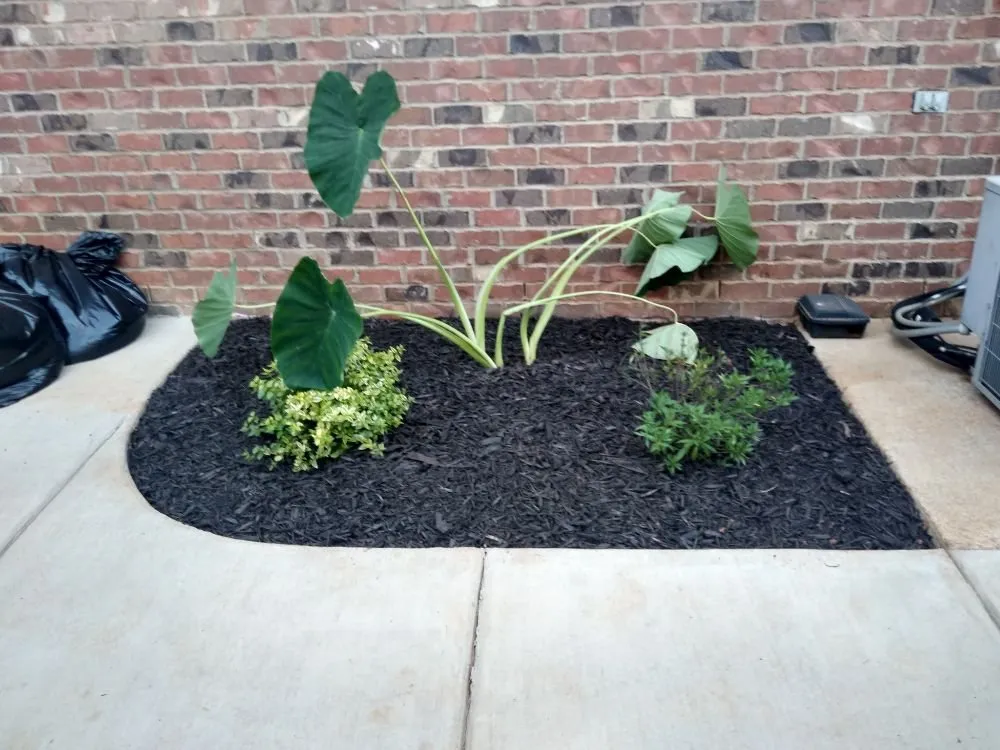 Professional lawn mowing service experts serving Toney, AL - MG's Landscaping and Irrigation