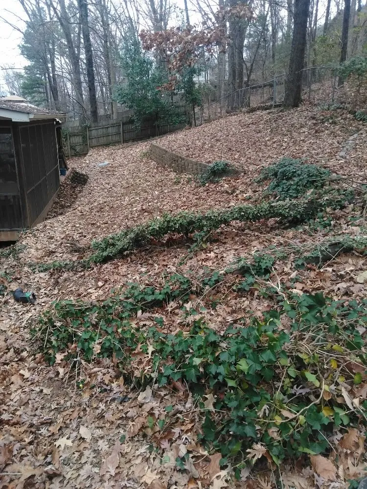 Top-rated outdoor landscaping in Toney, AL - MG's Landscaping and Irrigation