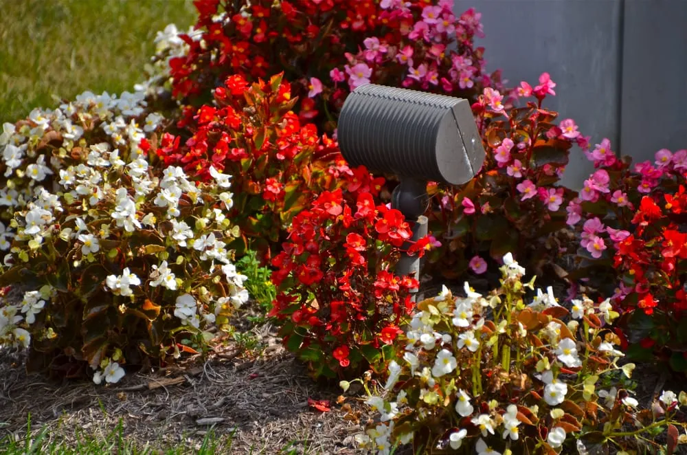 Custom yard cleanup service for beautiful yards across Pleasantville, NY - MG's Lawn Green Inc