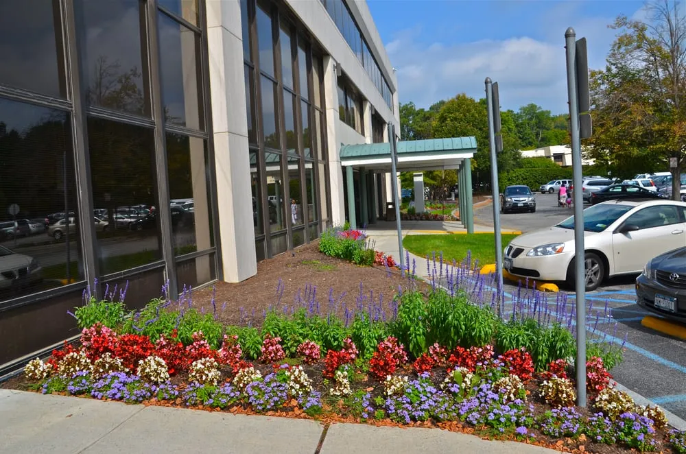 Professional garden landscaping in Pleasantville, NY - MG's Lawn Green Inc