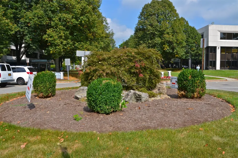 Professional outdoor landscaping in Pleasantville, NY - MG's Lawn Green Inc