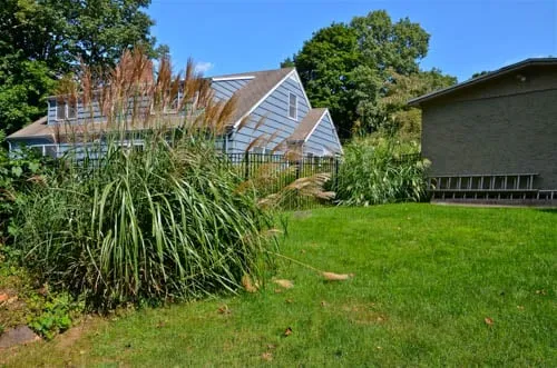 Expert landscape installation in Pleasantville, NY - MG's Lawn Green Inc