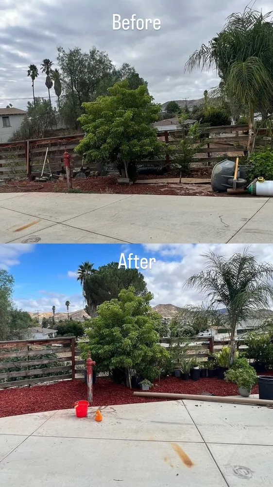 Local outdoor landscaping experts serving Fallbrook, CA - MG's Tree Service & Landscaping