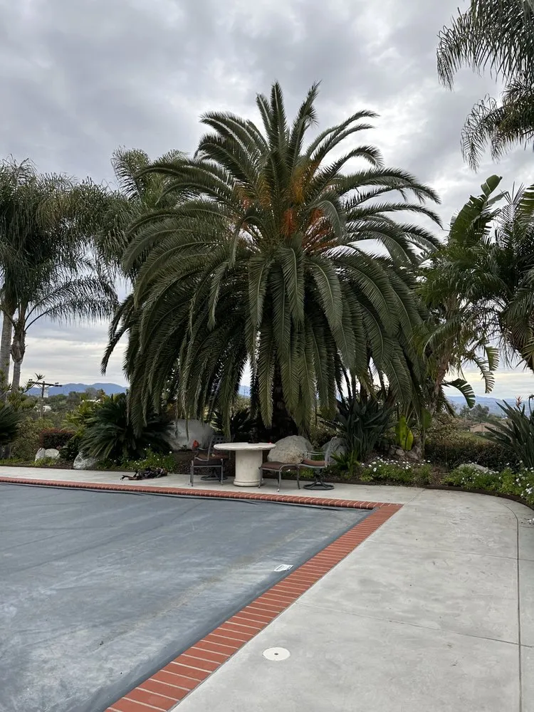 Top-rated garden landscaping for outdoor upgrades in Fallbrook, CA by MG's Tree Service & Landscaping