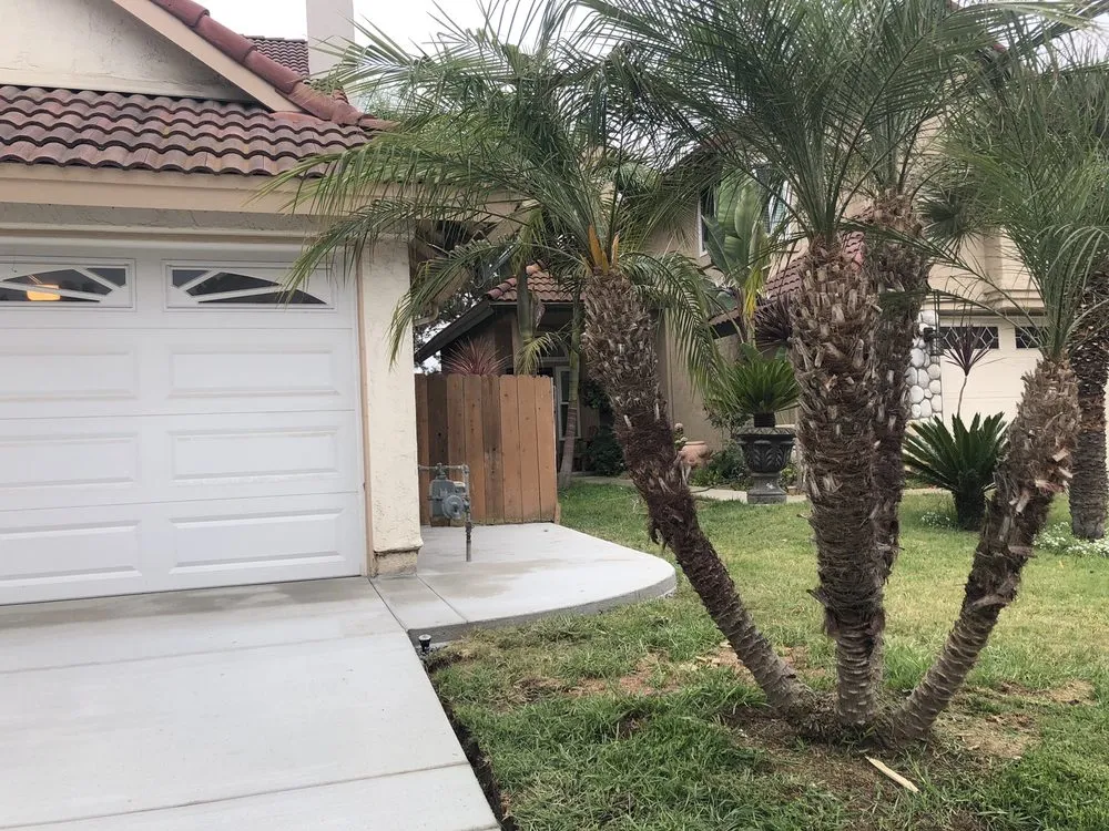 Professional lawn mowing service for year-round maintenance across Fallbrook, CA - MG's Tree Service & Landscaping