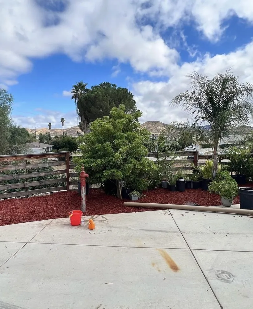 Top-rated yard maintenance in Fallbrook, CA by MG's Tree Service & Landscaping