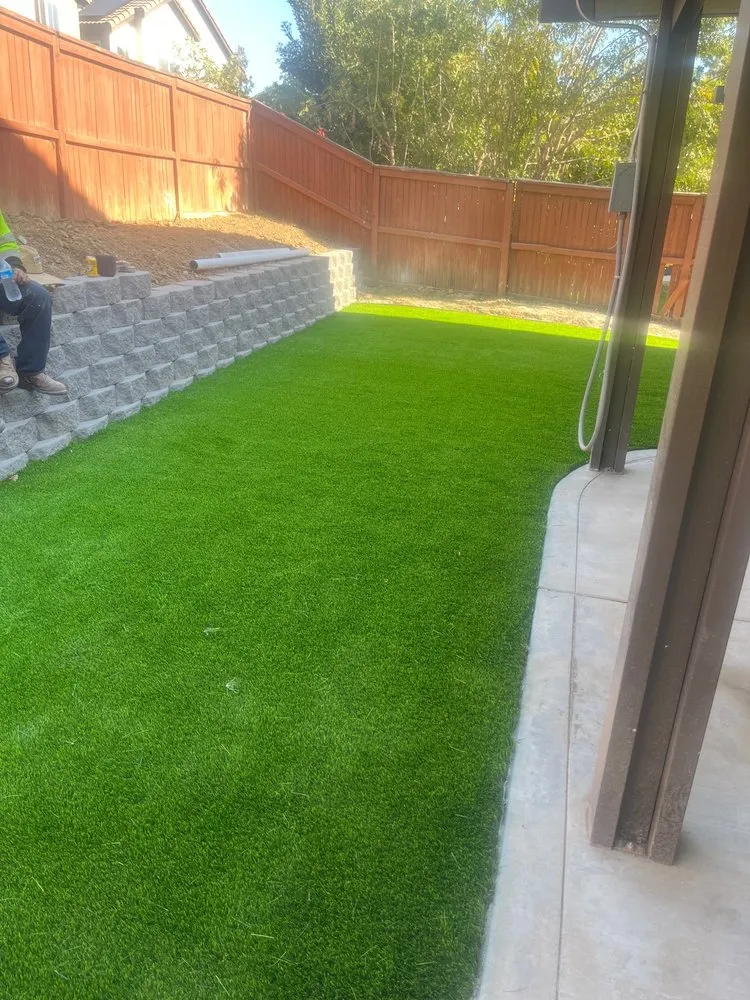 Professional yard maintenance in Fallbrook, CA by MG's Tree Service & Landscaping