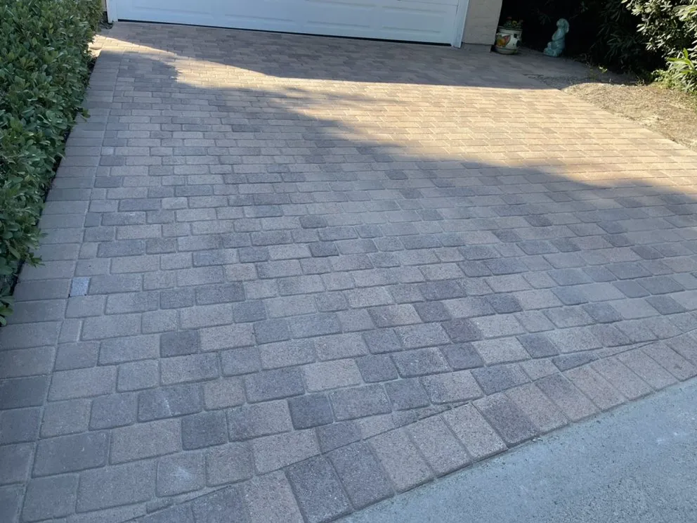 Professional lawn care service in Escondido, CA by MH construction & Landscaping