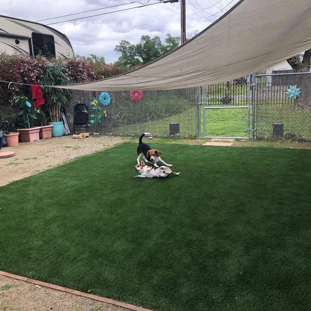 Expert landscape design in Roseville, CA - M&H Landscape Construction