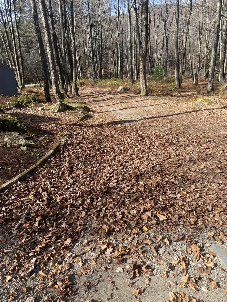 Expert landscape design in Milton, VT by M&H Landscape