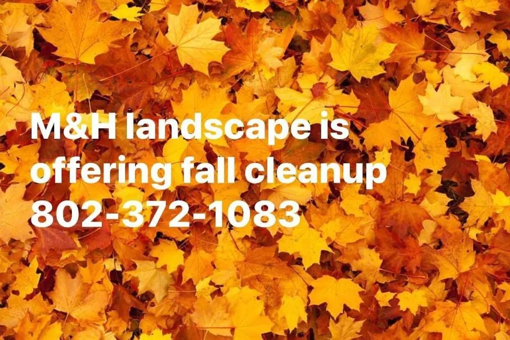 Affordable garden landscaping experts serving Milton, VT - M&H Landscape