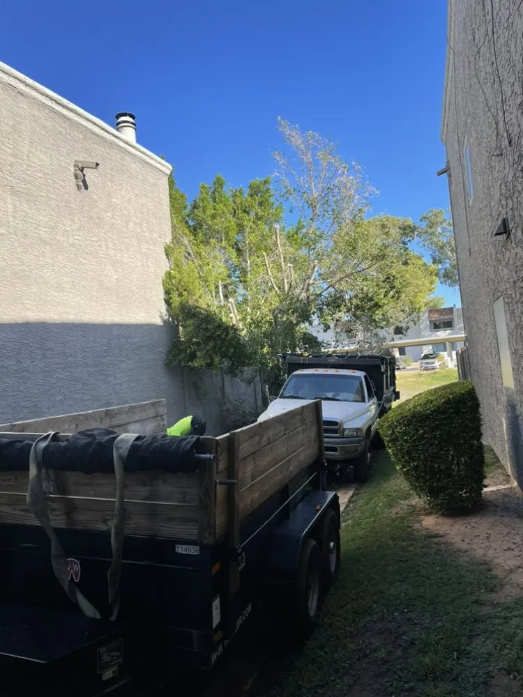 Reliable residential landscaping in Mesa, AZ - MH Landscaping & Hardscaping