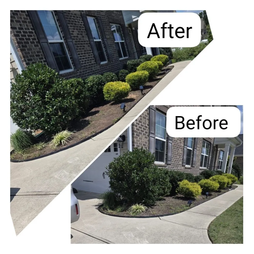 Local residential landscaping experts serving Raleigh, NC - M&H Landscaping & Tree Services