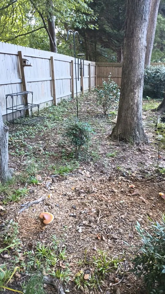 Custom residential landscaping for beautiful yards in Raleigh, NC by M&H Landscaping & Tree Services