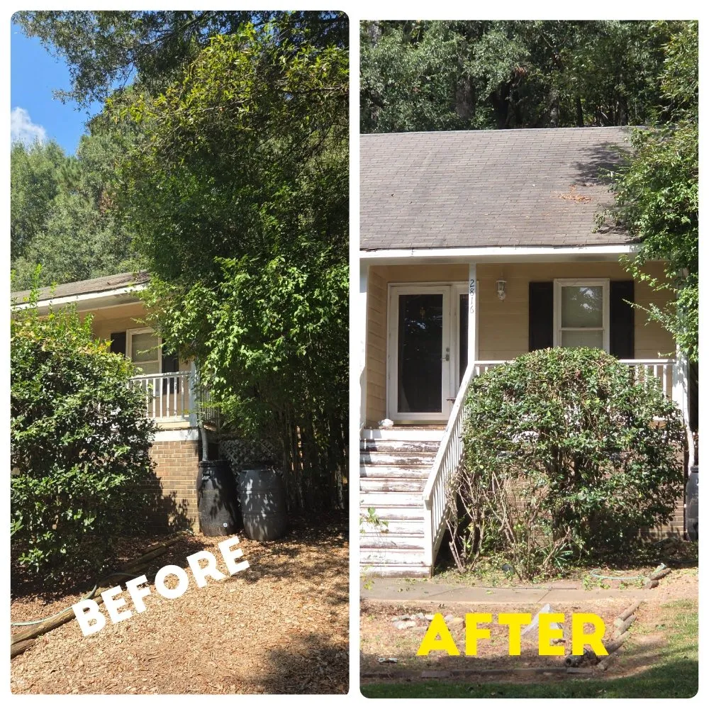 Affordable landscape installation for outdoor upgrades across Raleigh, NC - M&H Landscaping & Tree Services