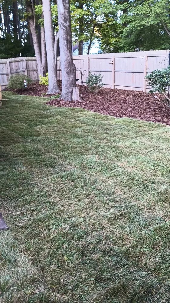 Professional yard maintenance experts serving Raleigh, NC - M&H Landscaping & Tree Services