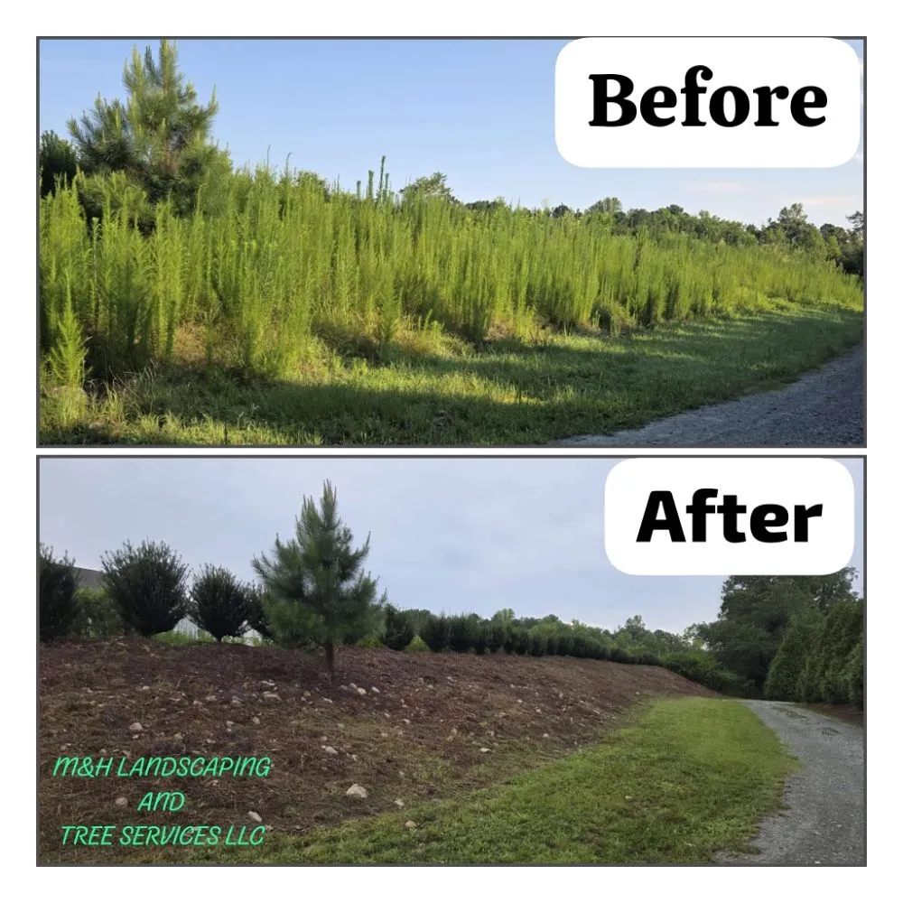 Top-rated lawn mowing service for residential properties across Raleigh, NC - M&H Landscaping & Tree Services