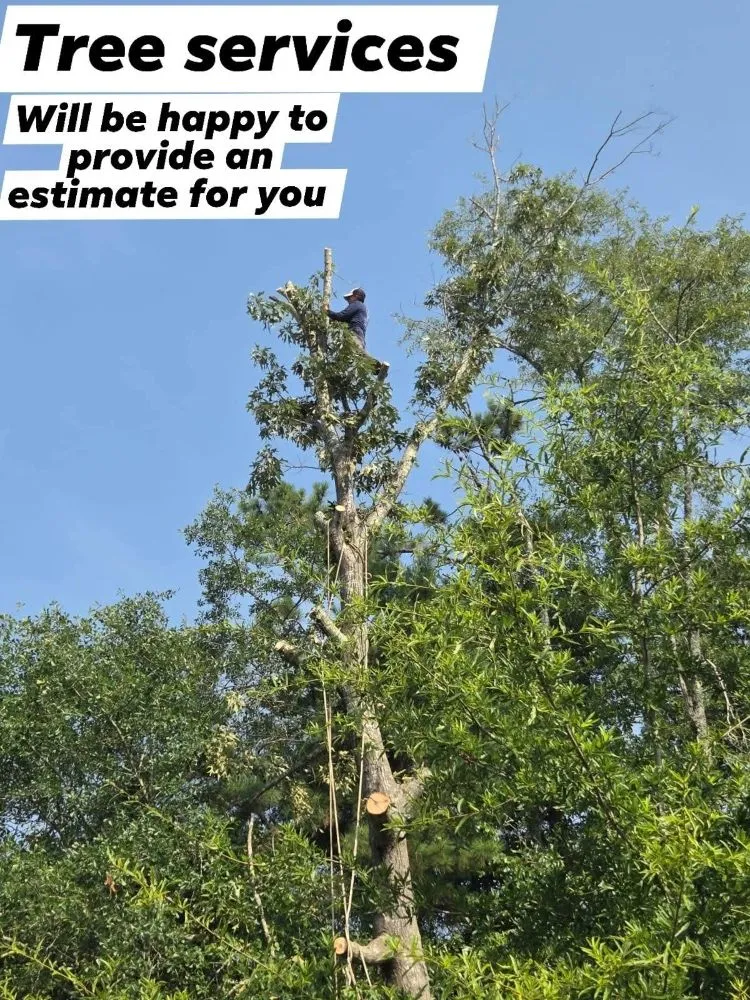 Reliable landscape installation in Raleigh, NC by M&H Landscaping & Tree Services