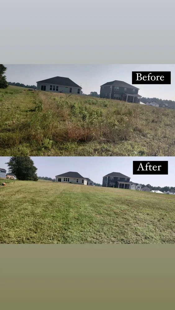 Affordable landscape design for residential properties in Raleigh, NC by M&H Landscaping & Tree Services