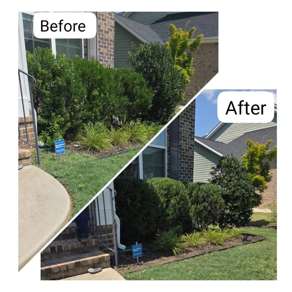 Expert landscaping services in Raleigh, NC by M&H Landscaping & Tree Services