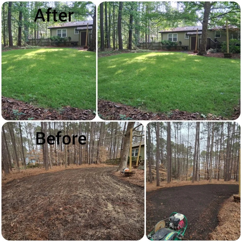 Local landscaping services in Raleigh, NC by M&H Landscaping & Tree Services