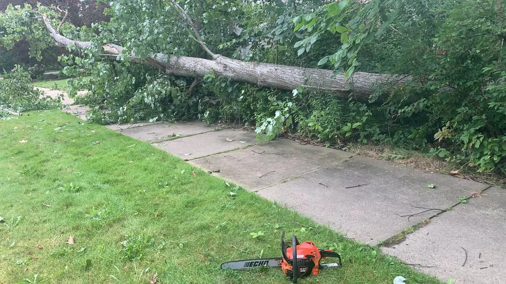 Reliable residential landscaping for year-round maintenance in Cleveland, OH by MH Landscaping