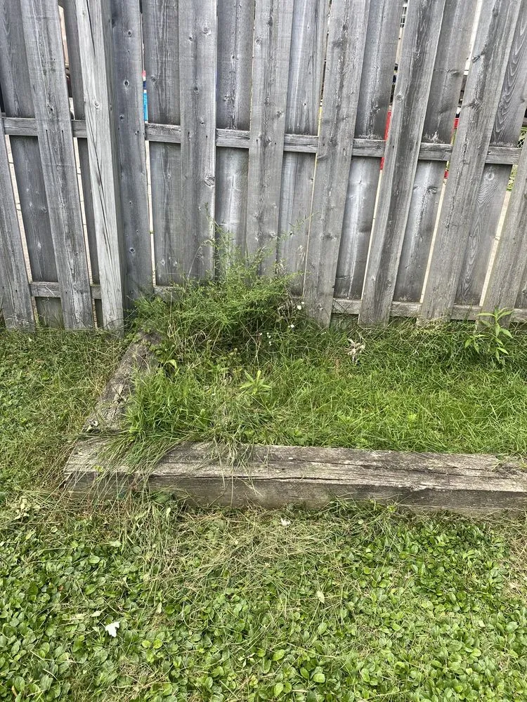 Reliable landscape design for beautiful yards in Cleveland, OH by MH Landscaping