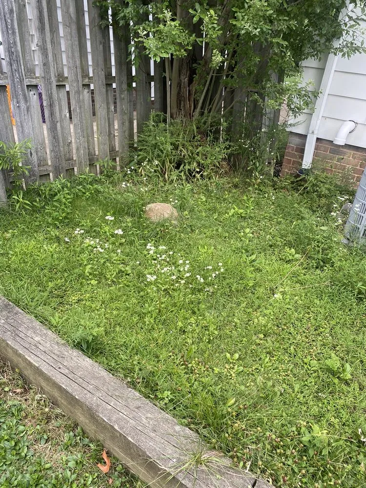 Local lawn care service for year-round maintenance across Cleveland, OH - MH Landscaping