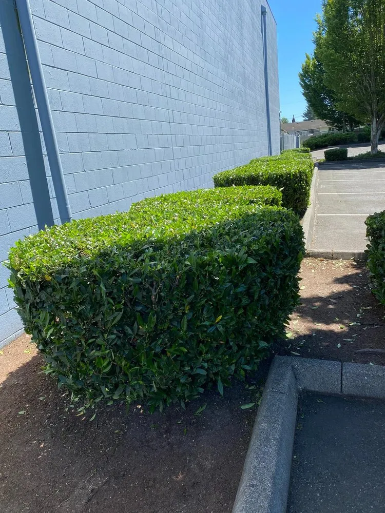 Expert landscape installation for residential properties in Mount Vernon, WA by M.H Landscaping