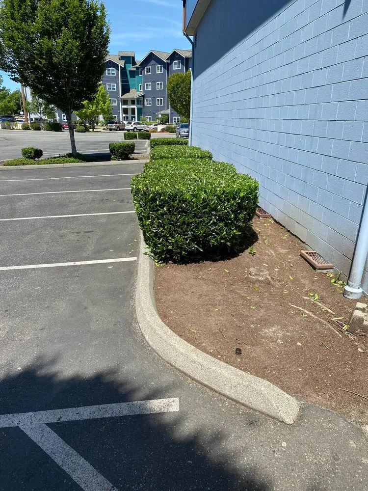 Custom yard cleanup service in Mount Vernon, WA - M.H Landscaping