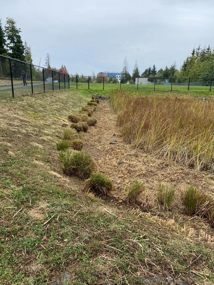 Professional yard maintenance in Mount Vernon, WA - M.H Landscaping