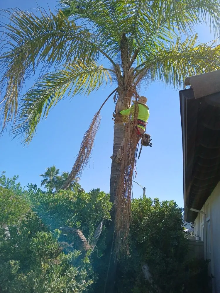 Local outdoor landscaping in Perris, CA - MH Landscaping